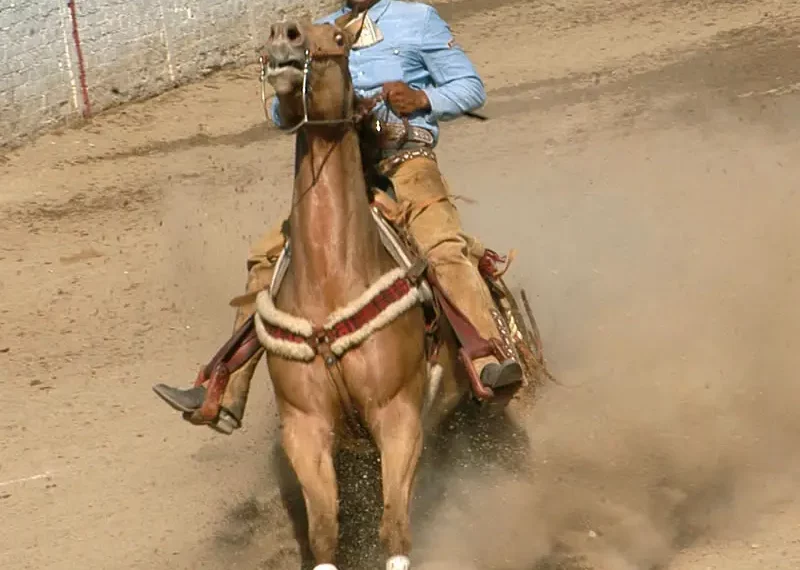 Villa Oro Claims Victory at the International Charro Championship
