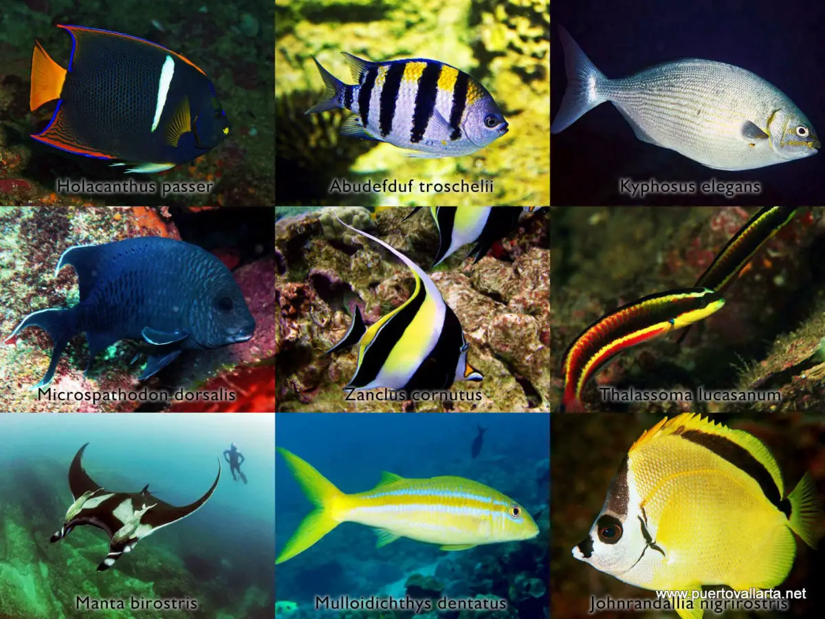 Ecotourism & Nature