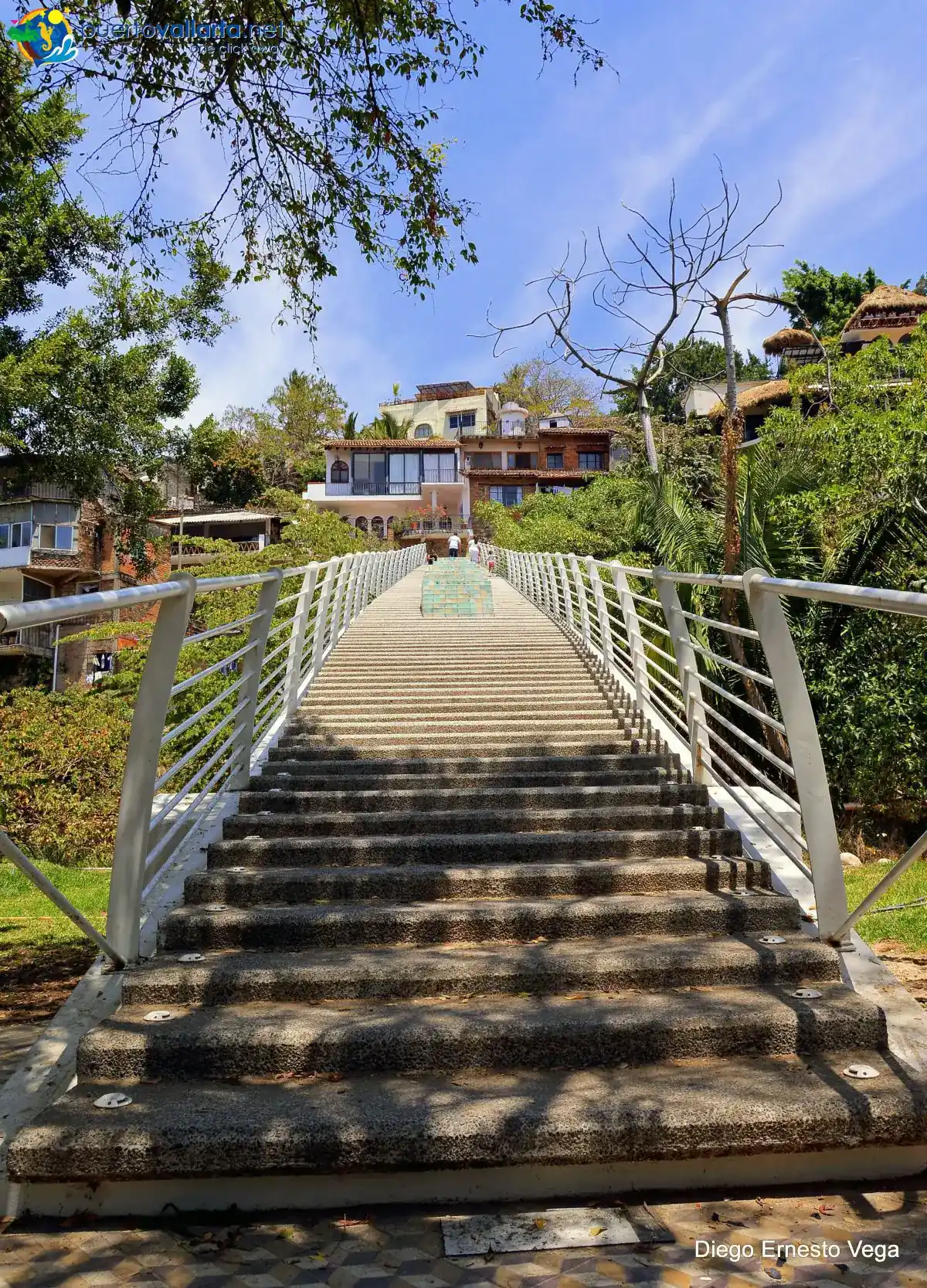 La Iguana Bridge
