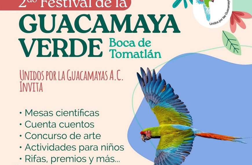 2nd Annual Green Macaw Festival Returns to Boca de Tomatlán