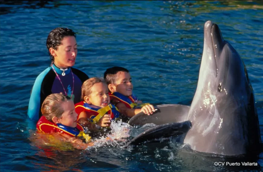Top 10 Things To Do With Kids In Puerto Vallarta Flip Book