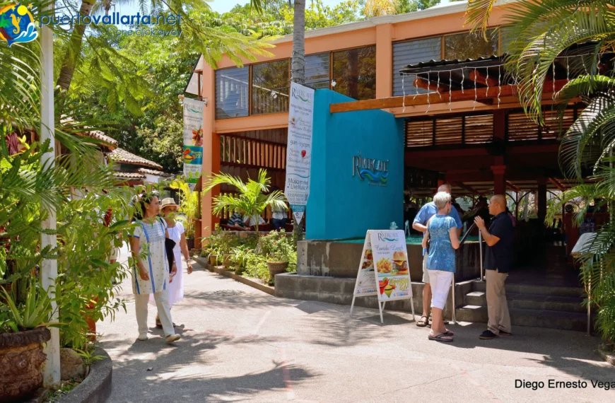 Vegetarian Restaurants And Options In Town