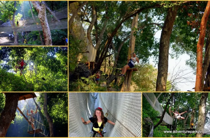 Las Animas Adventure Park, Canopy Tour Zipline, Las Ánimas, Cabo Corrientes