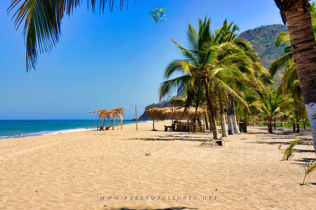 Palm-lined beach with thatched shade shelters and a green headland at Lo de Marcos