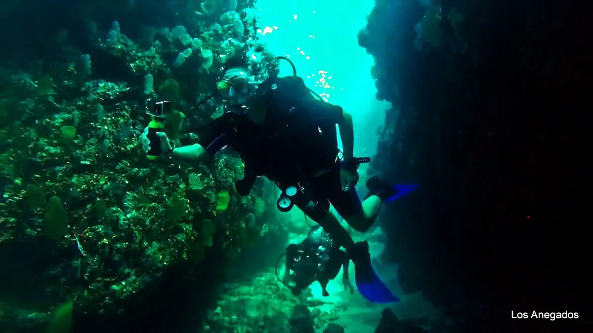 Buceo en Puerto Vallarta