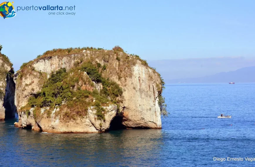 The Deep Blue World of Puerto Vallarta