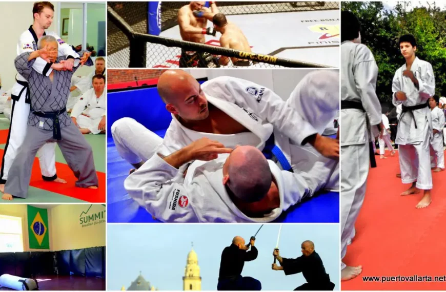 Artes Marciales en Puerto Vallarta