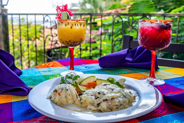 Mexican food and drinks in Puerto Vallarta for Cocina Sin Fronteras Nogada news