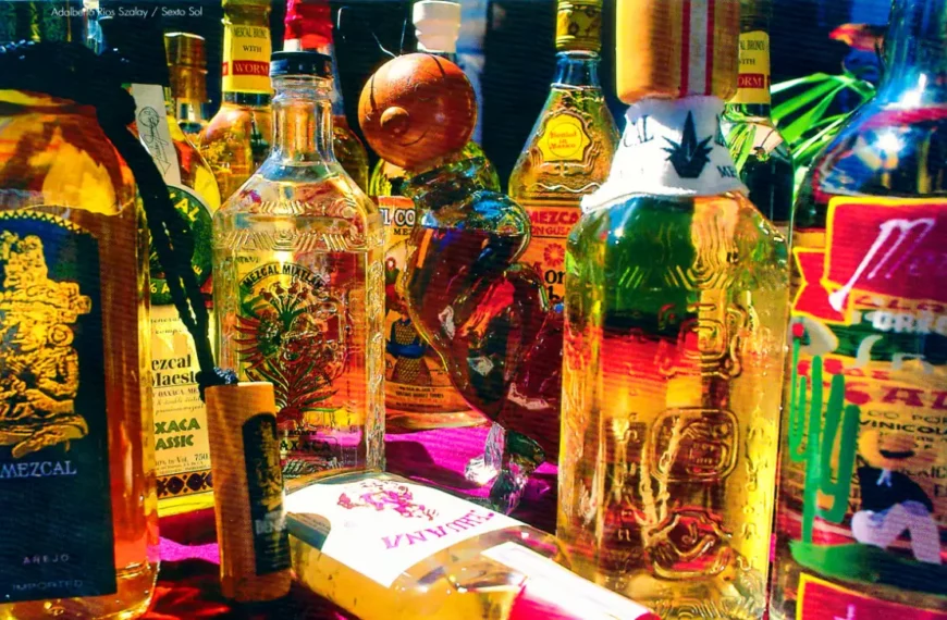 Mezcal, The Holy Elixir