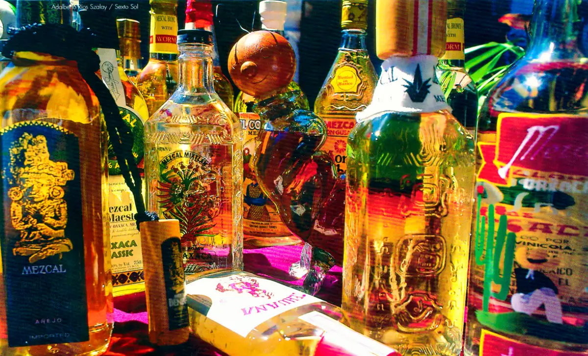 Mezcal, The Holy Elixir