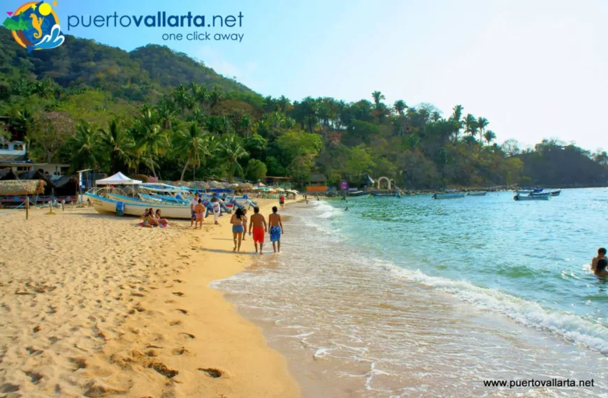 PV to Host National Clean Beaches Day