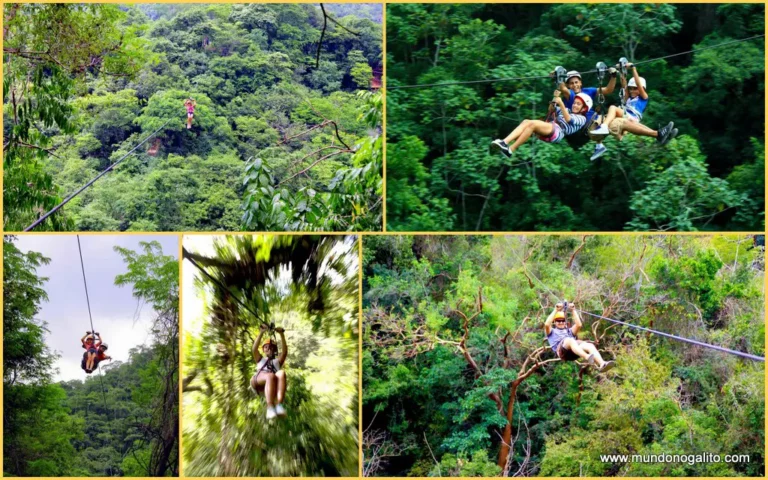 Canopy El Indio At El Nogalito (Ex-Mundo Nogalito Canopy) Zipline Tour