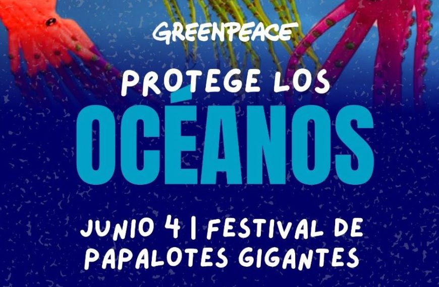 Giant Kite Festival in Puerto Vallarta