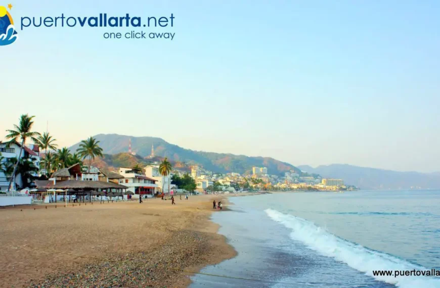 Certified Blue Flag Beaches Highlight PV as a Tourist Destination