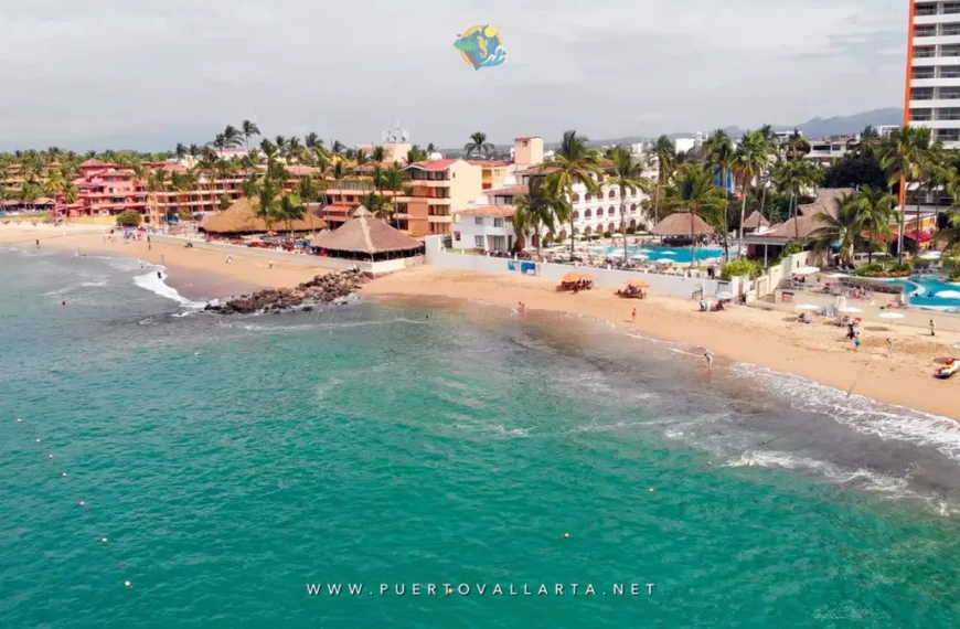Wine, Celebration, and Sports in Puerto Vallarta