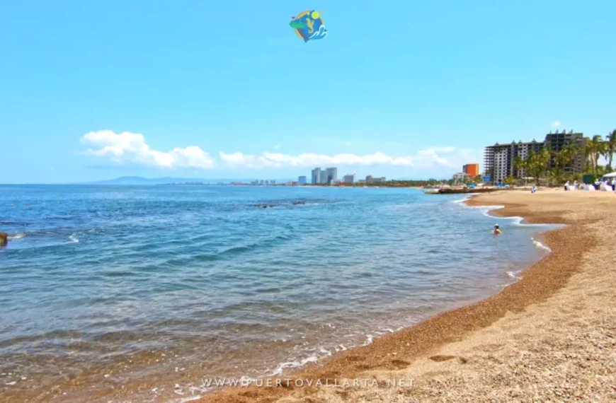 Three beaches with “Blue Flag” distinction in Puerto Vallarta