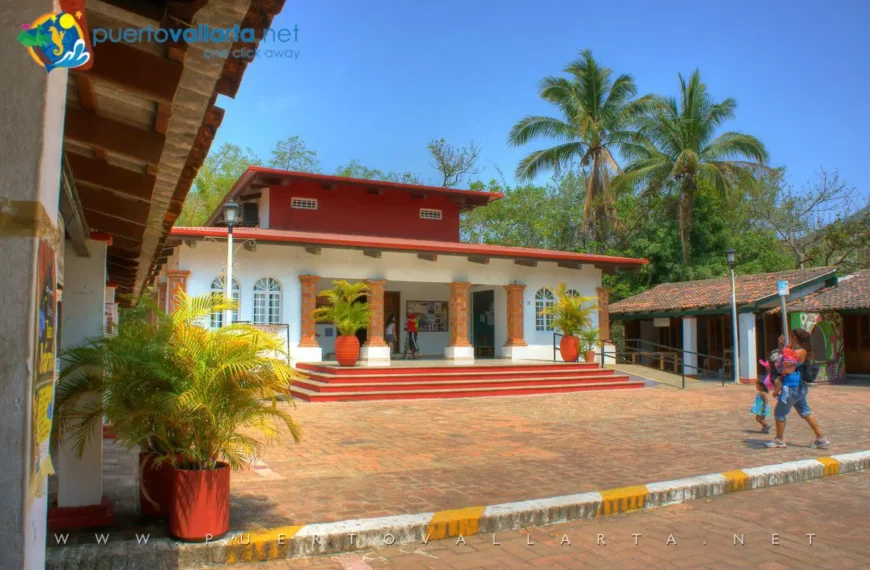 Puerto Vallarta Forges Shared Cultural Vision