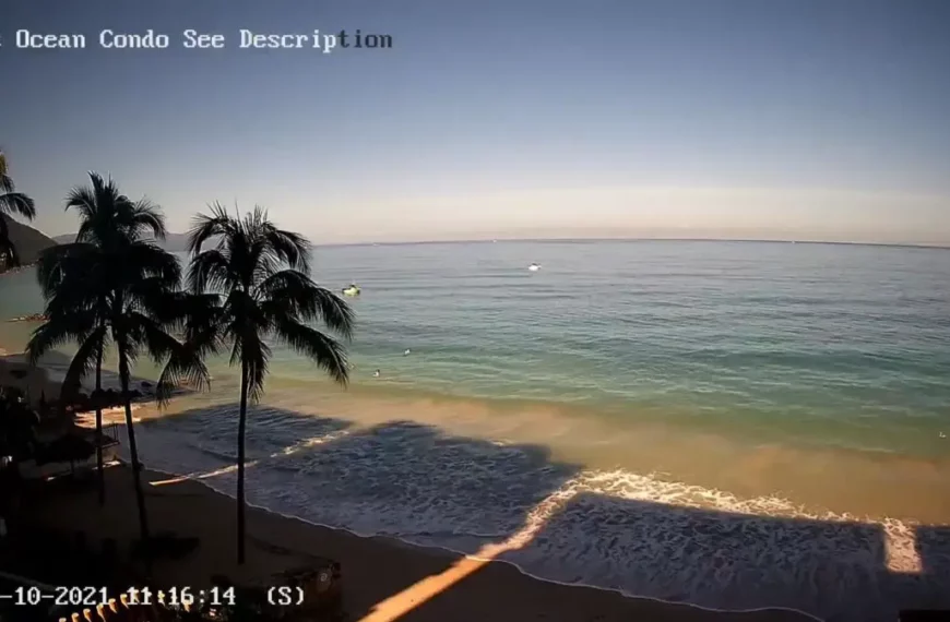 Puerto Vallarta Webcams: Complete Live Camera Directory