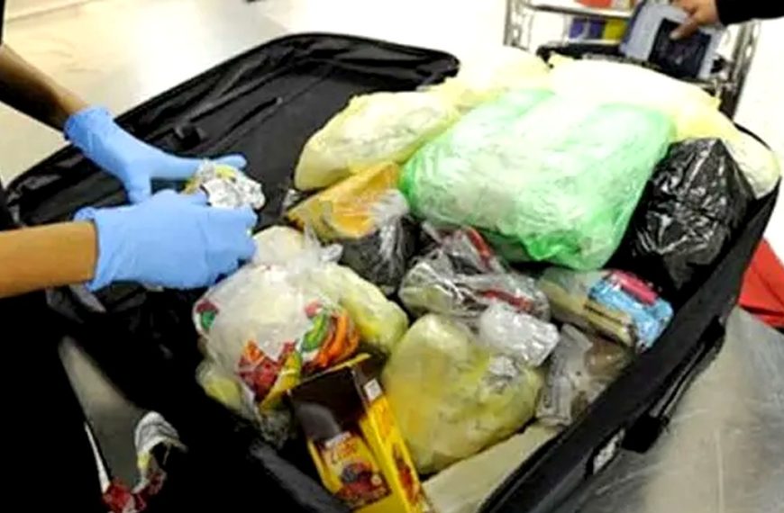 Puerto Vallarta airport luggage inspection for sanitary surveillance news