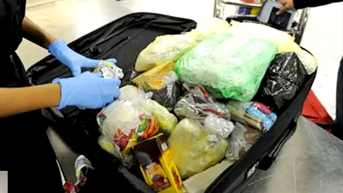 Puerto Vallarta airport luggage inspection for sanitary surveillance news
