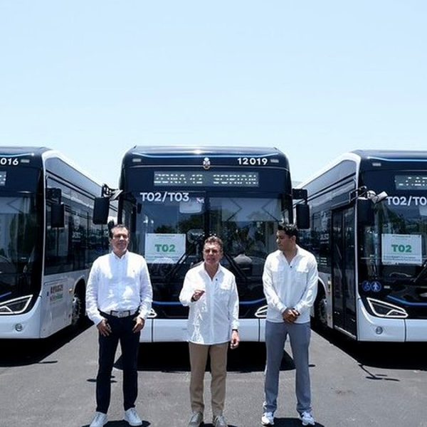 Electric buses lined up for the launch of Puerto Vallarta electromobility service
