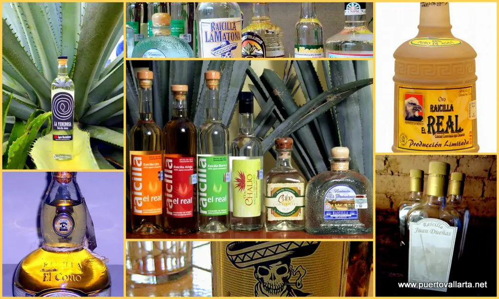 Raicilla, From Moonshine To Glory