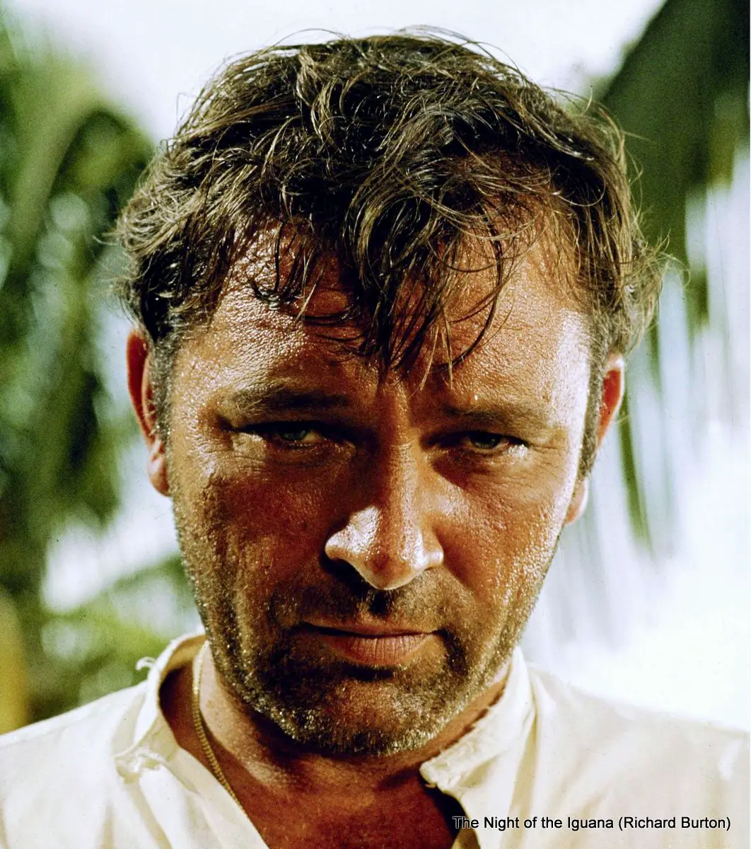 Richard Burton y Puerto Vallarta