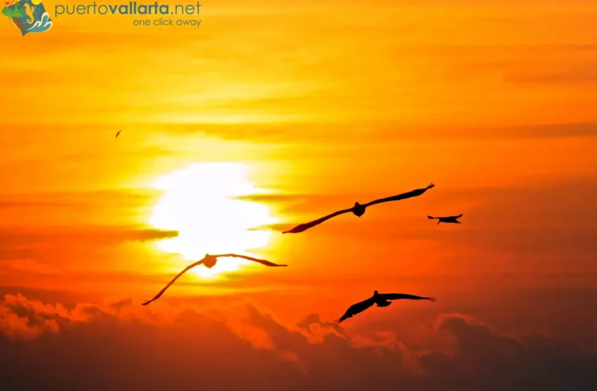 Puerto Vallarta Sunset Photo Gallery