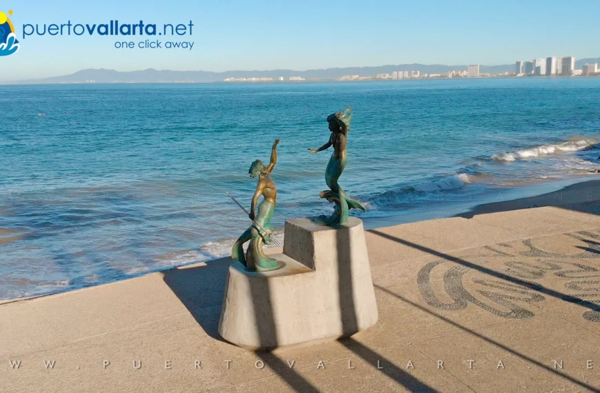 Disfrutando Puerto Vallarta