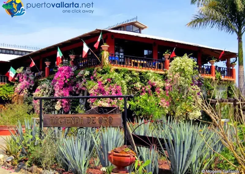 Peacock Gala Returns to Vallarta Botanical Garden