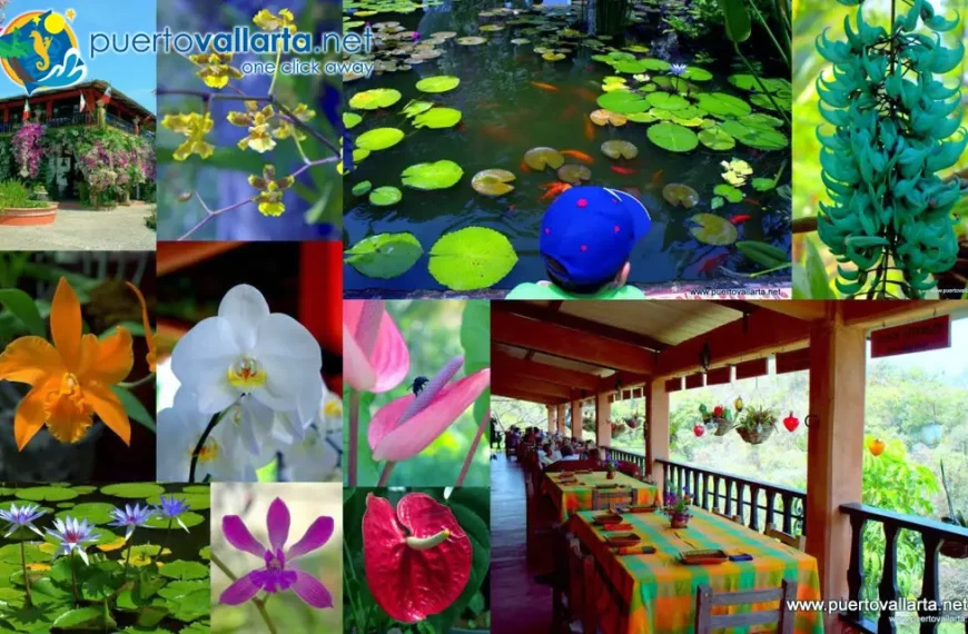 Vallarta Botanical Garden to Host 2026 Peacock Gala