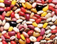 Mexico And Its Beans
