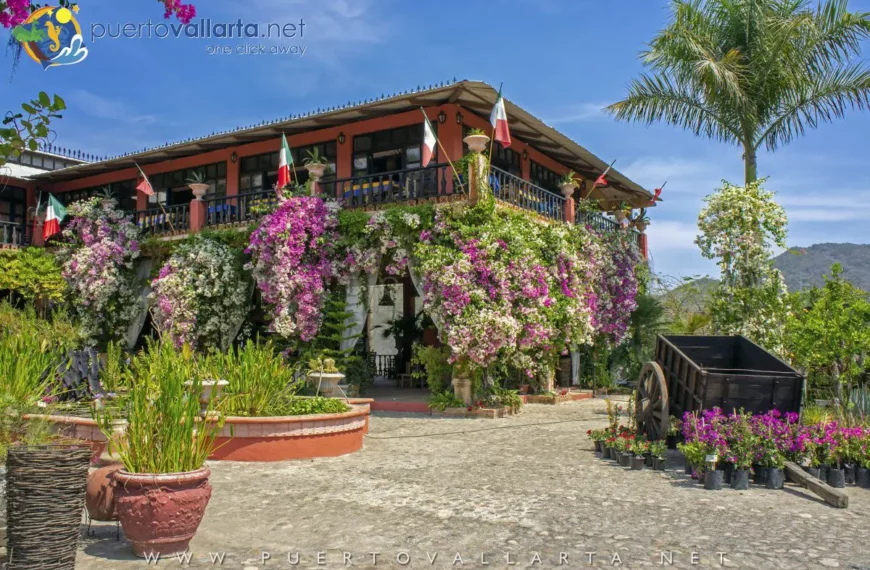 Opinión de visitante sobre el Jardín Botánico Vallarta