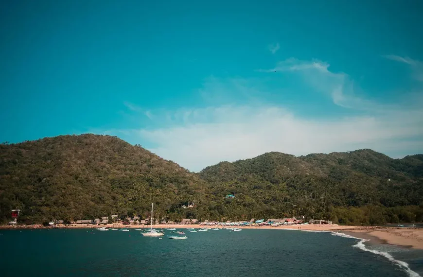 Yelapa / The Gathering: A Cosmic Celebration in Mexico