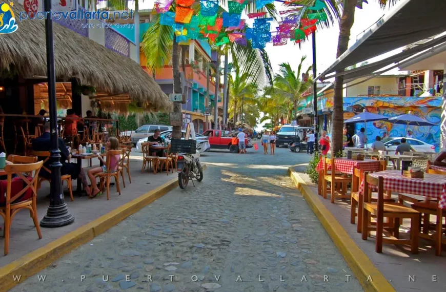 Puerto Vallarta 2020 Gallery (Part 1)