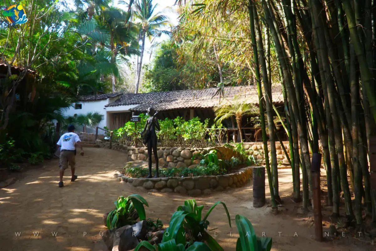 Left Image