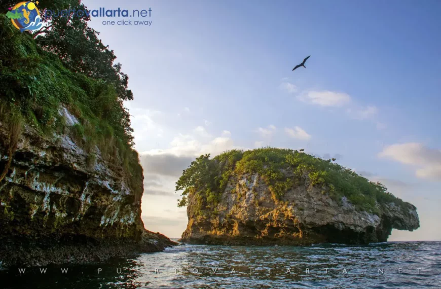 Los Arcos National Marine Park, Puerto Vallarta